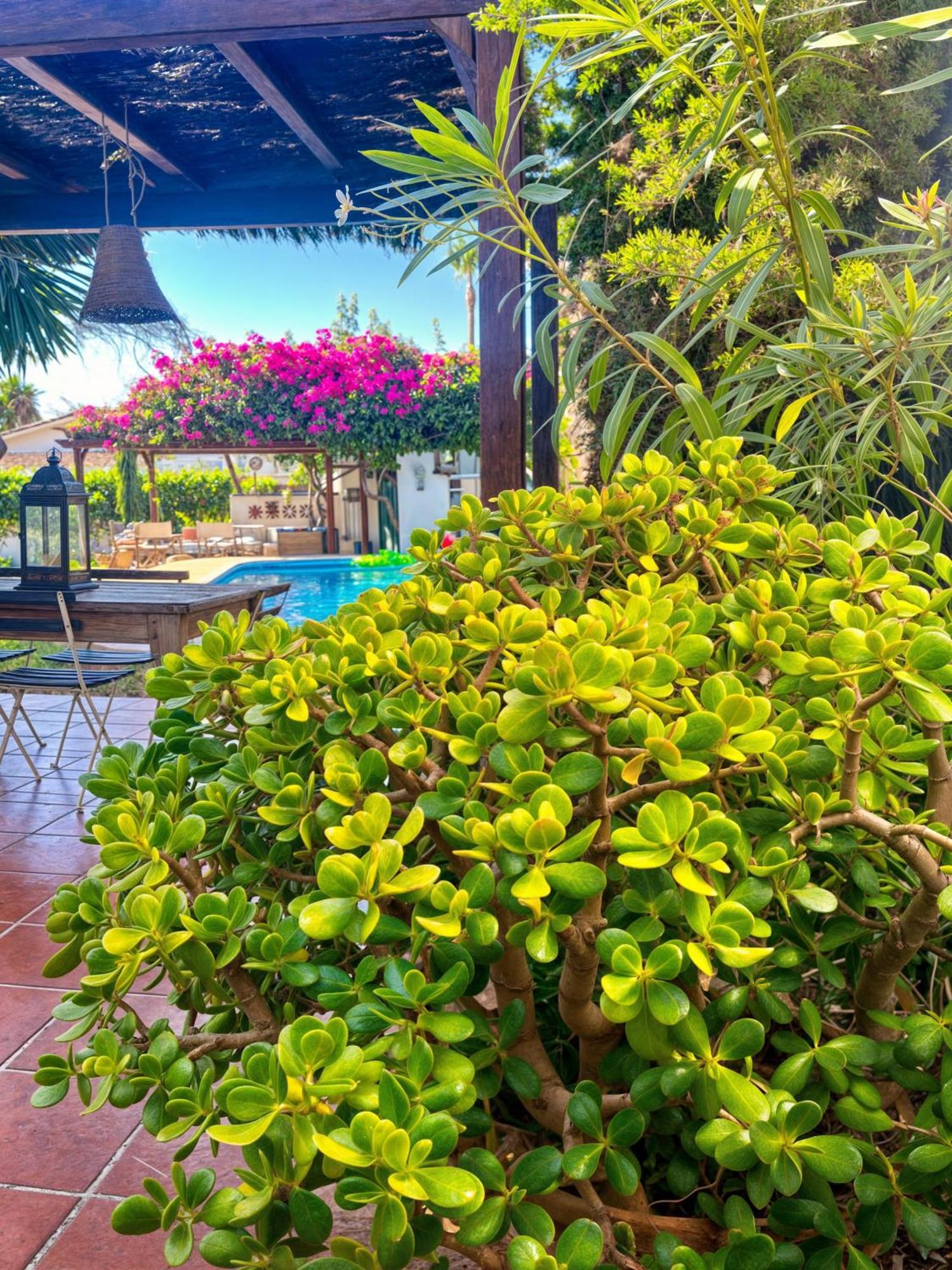Villa Alfredo - Private Pool Next To The Beach Estepona Bagian luar foto